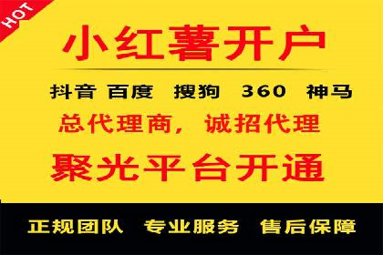 实战派经验分享：百度竞价代理成功案例揭秘